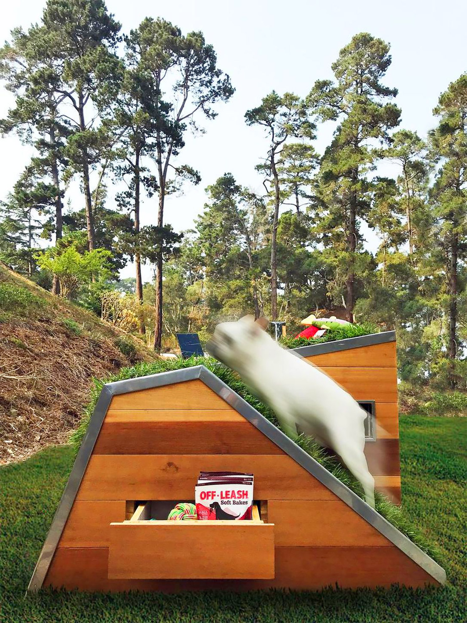 Studio Schicketanz Modern Dog House Is Made With Grass Ramp, and An Automatic Water Faucet On Top