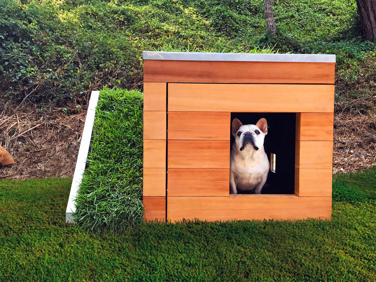 Studio Schicketanz Modern Dog House Is Made With Grass Ramp, and An Automatic Water Faucet On Top