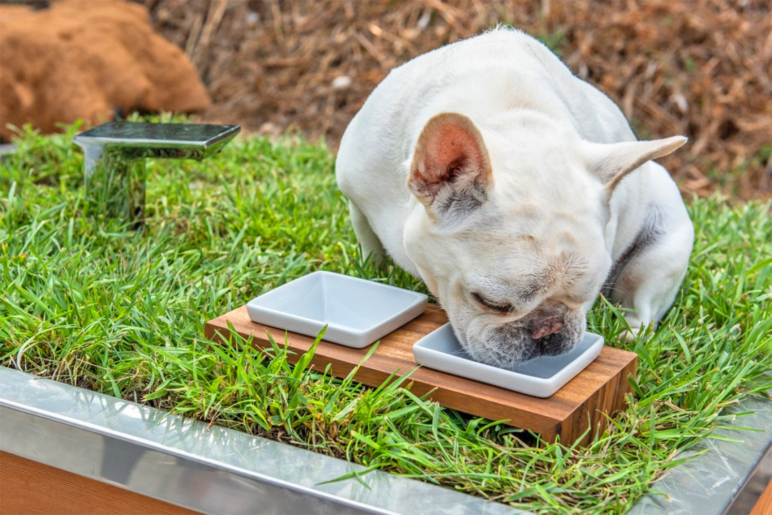 Studio Schicketanz Modern Dog House Is Made With Grass Ramp, and An Automatic Water Faucet On Top