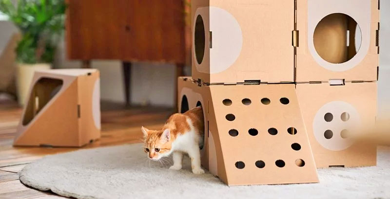 Modular Cat Playground
