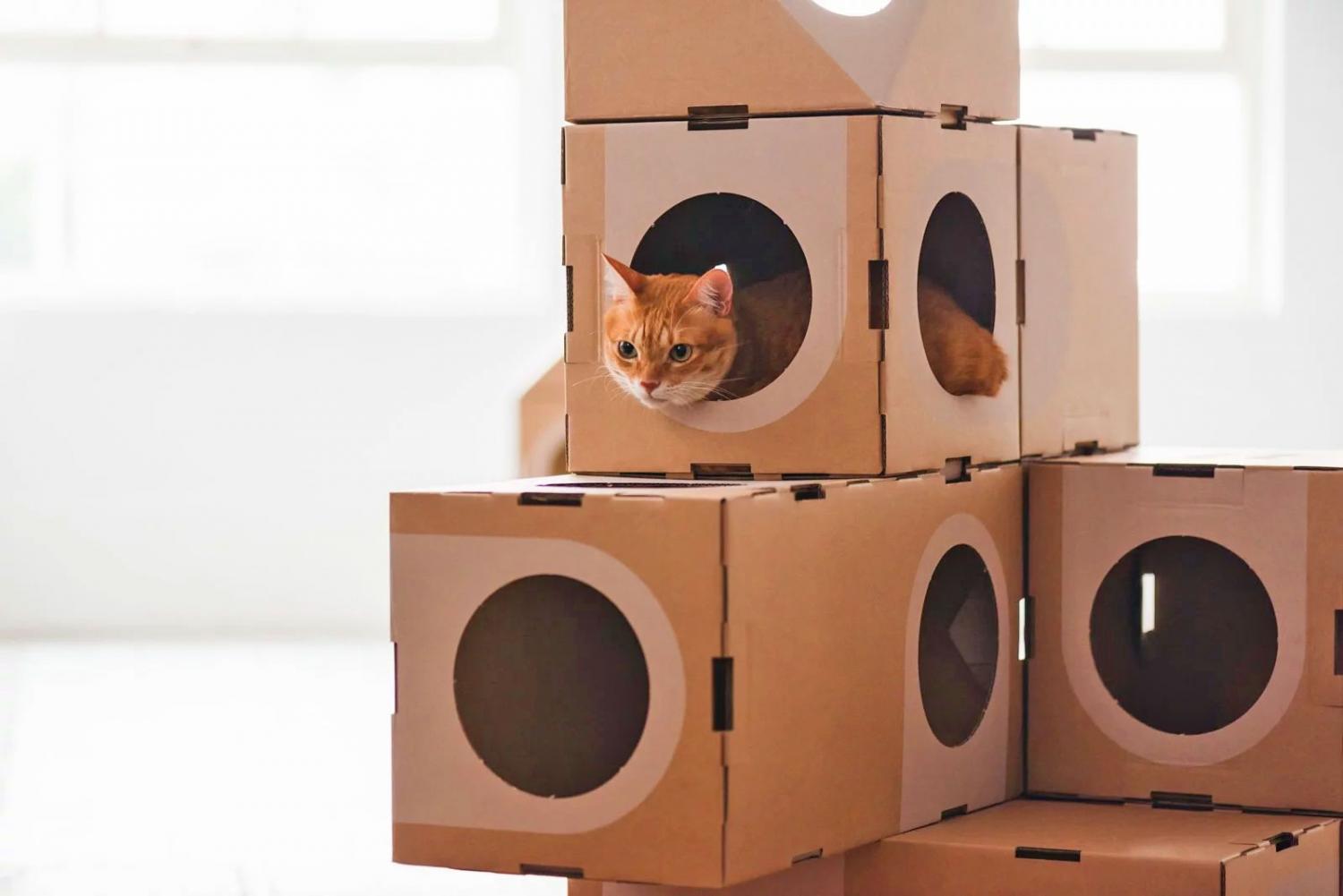 Modular Cat Playground