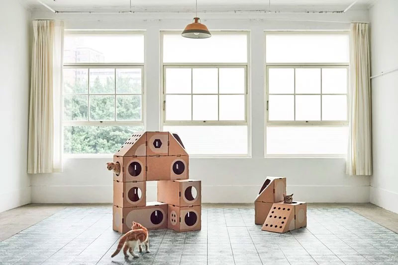 Modular Cat Playground