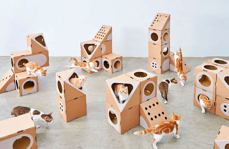Modular Cat Playground