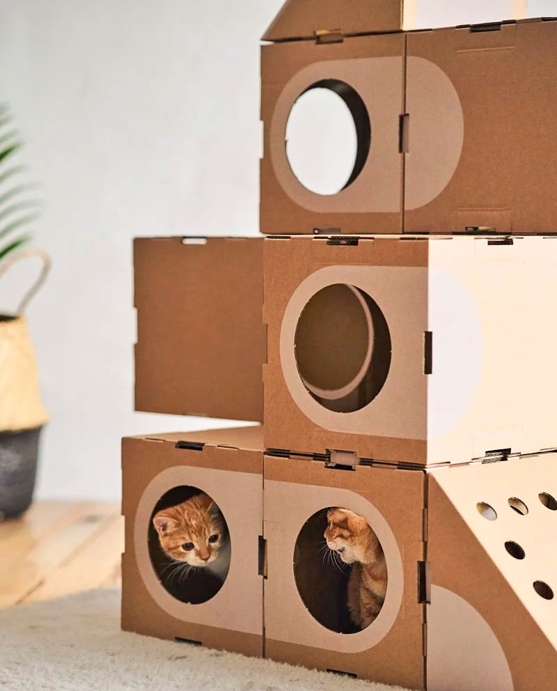 Modular Cat Playground