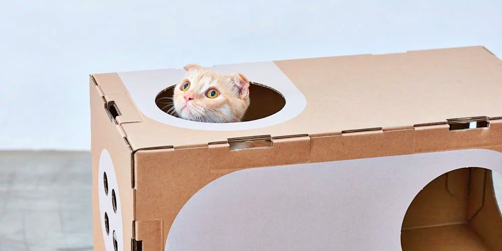 Modular Cat Playground