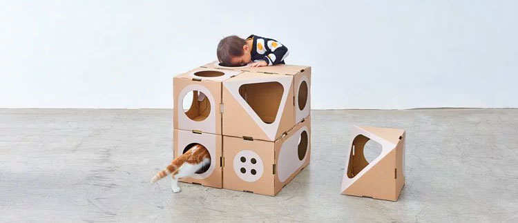 Modular Cat Playground
