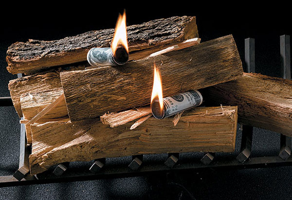 Money To Burn Fire Starters - Fake Money Fire Starting Rolls