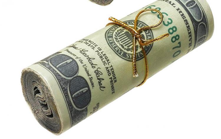Money To Burn Fire Starters - Fake Money Fire Starting Rolls