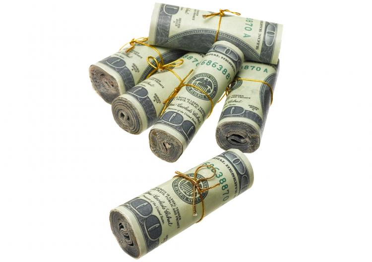 Money To Burn Fire Starters - Fake Money Fire Starting Rolls