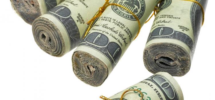 Money To Burn Fire Starters - Fake Money Fire Starting Rolls
