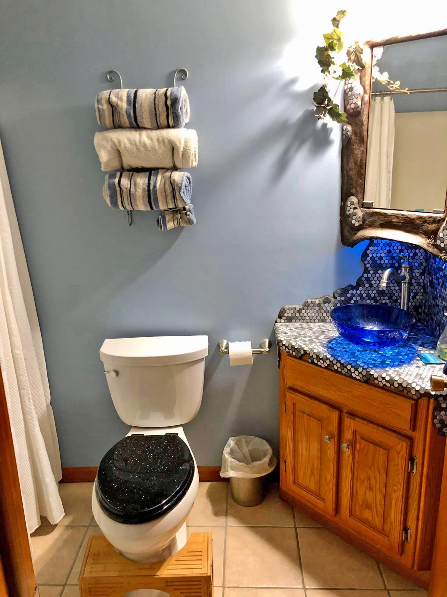 Mood Ring Toilet Seat - DIY Mood Ring Toilet Cover Lid