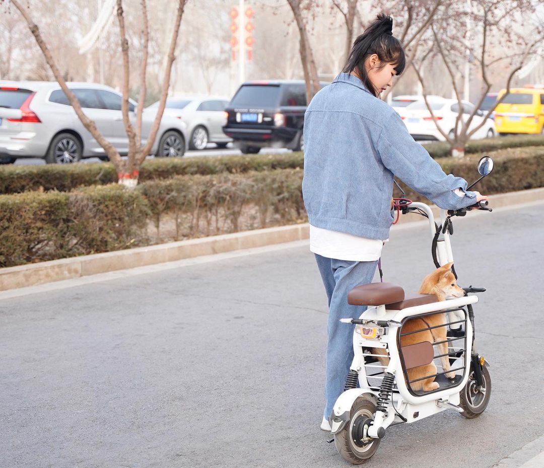 Mopet Dog Holding Electric E-Bike With Integrated Dog Kennel