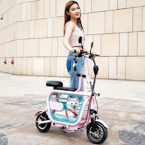 Mopet Dog Holding Electric E-Bike With Integrated Dog Kennel