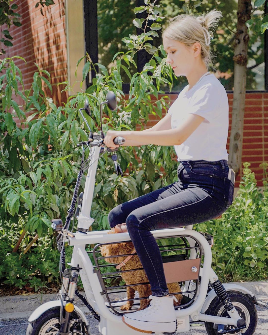 Mopet Dog Holding Electric E-Bike With Integrated Dog Kennel