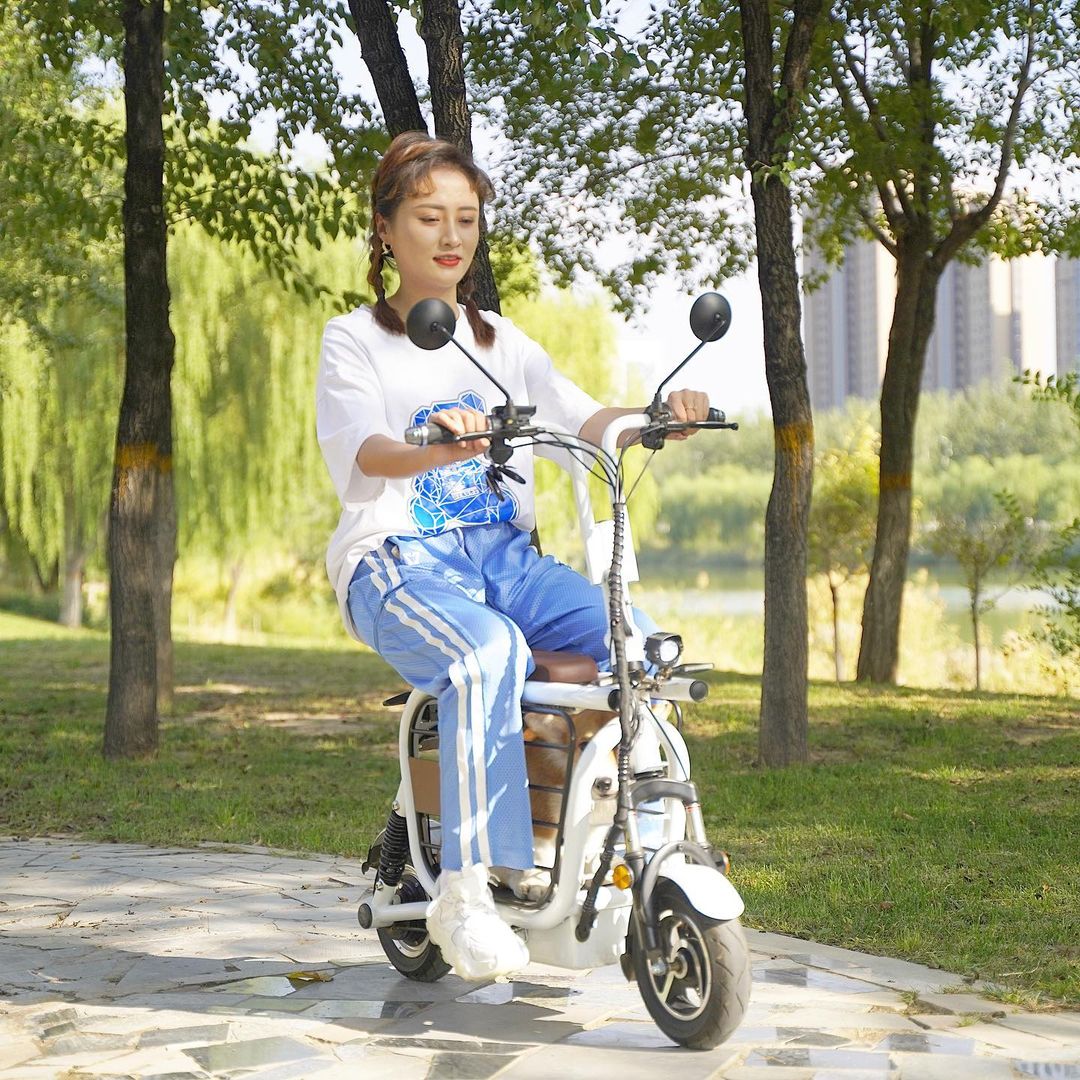 Mopet Dog Holding Electric E-Bike With Integrated Dog Kennel