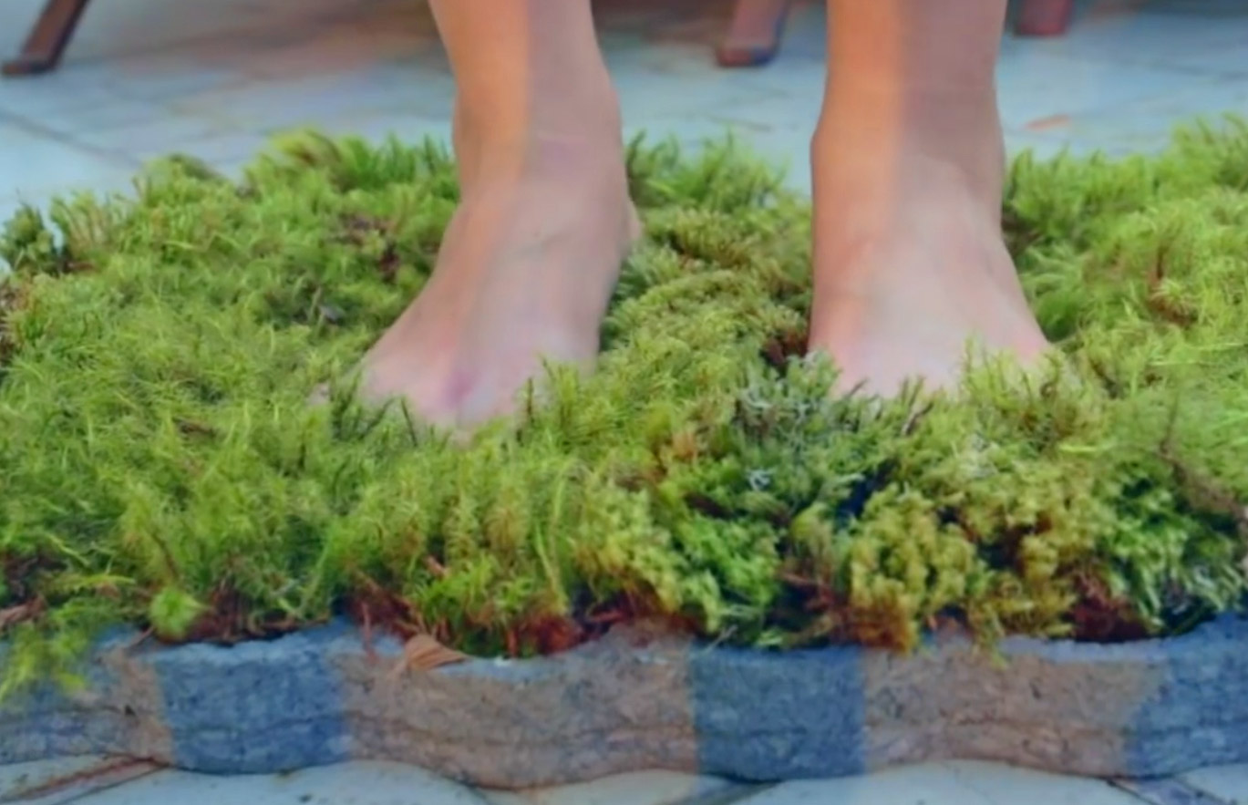 Moss Bathroom Mat - Real moss shower mat
