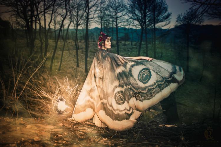 Moth Cape Cloak