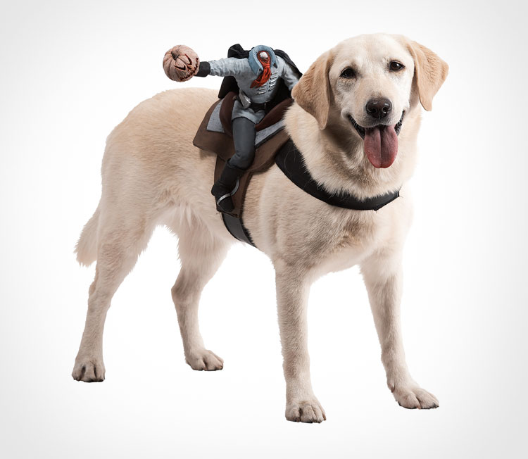 Headless Horseman Dog Rider Costume