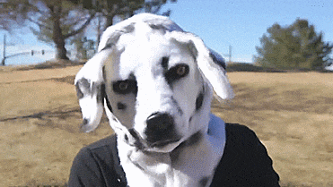 Mouth Moving Masks - Animals masks that move their mouths when you talk