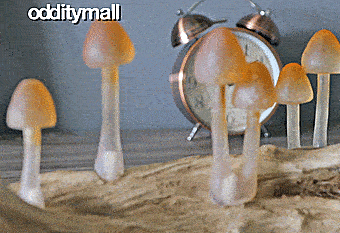 Mushroom Lamp - Realistic tree branch mushroom light