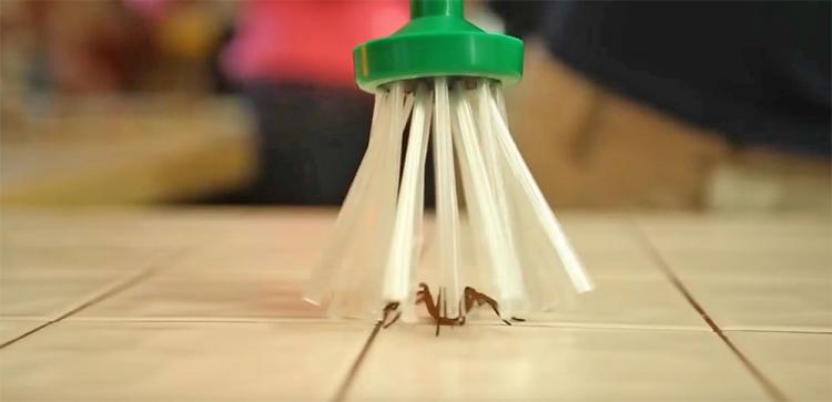 My Critter Catcher - Humane Catch and Release Spider Catcher