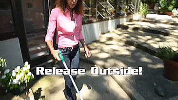 My Critter Catcher - Humane Catch and Release Spider Catcher