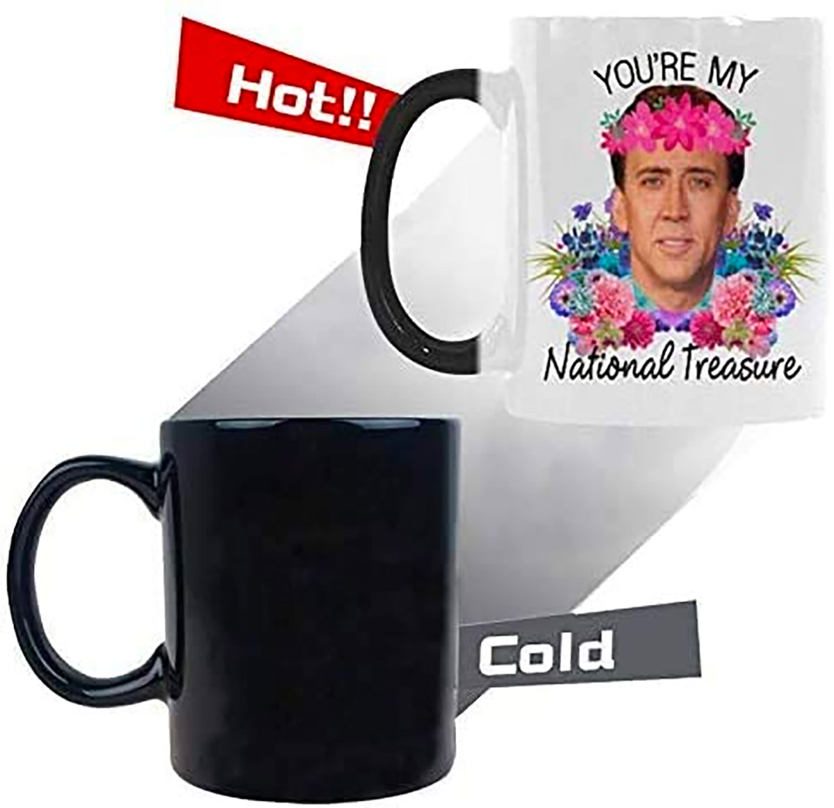 You're My National Treasure Nicolas Cage Mug