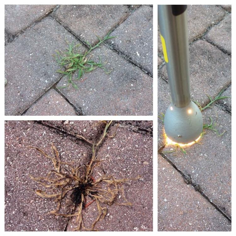 NatureZap Infrared Weed Killer Light - IR Weed killer - Chemical free weed killer for your lawn