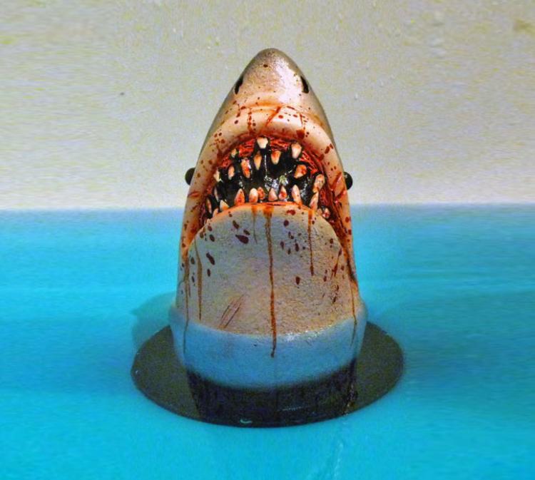 Shark attack bathtub drain stopper