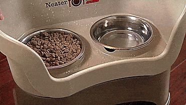 Neater Feeder Standing Dog Feeding Station - Absorbs Spilt Water - Water draining dog feeder