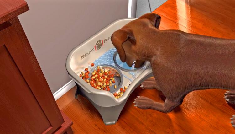 Neater Feeder Standing Dog Feeding Station - Absorbs Spilt Water - Water draining dog feeder