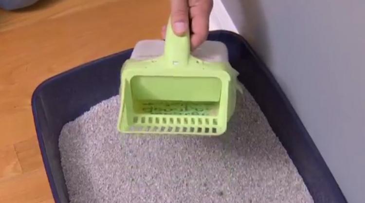 Neater Scooper - Easiest kitty litter cleaner - Best cat poop scooper