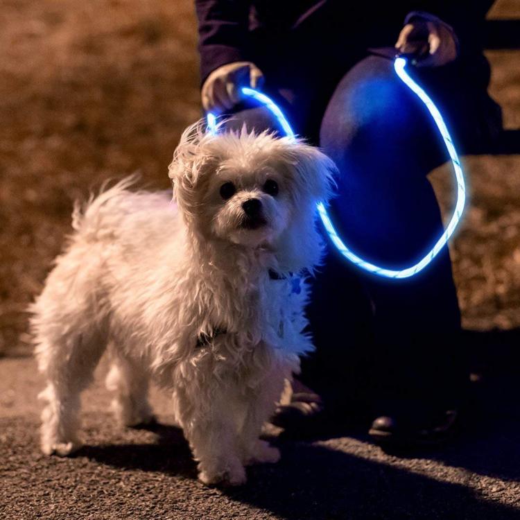 Nitey Leash: LED Light Up Dog Leash Gets You Easily Seen During Night Walks