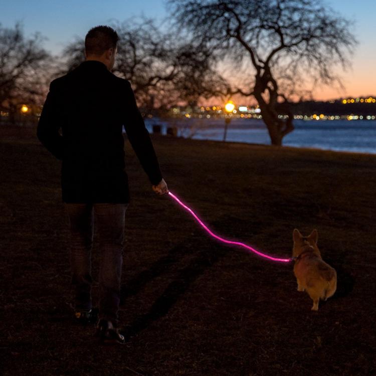 Nitey Leash: LED Light Up Dog Leash Gets You Easily Seen During Night Walks