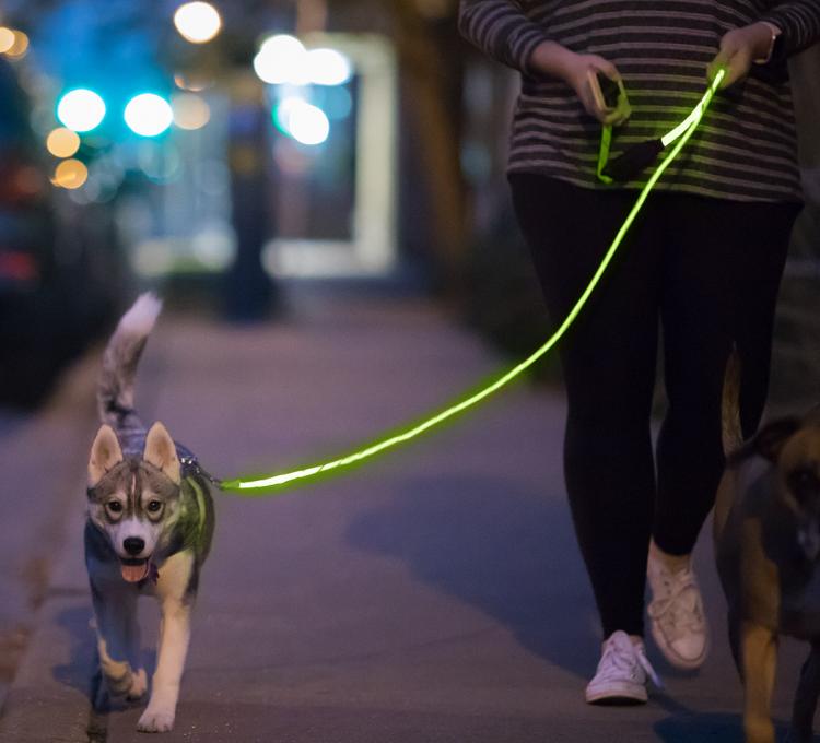 Nitey Leash: LED Light Up Dog Leash Gets You Easily Seen During Night Walks