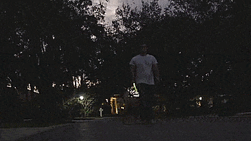 Nitey Leash: LED Light Up Dog Leash Gets You Easily Seen During Night Walks