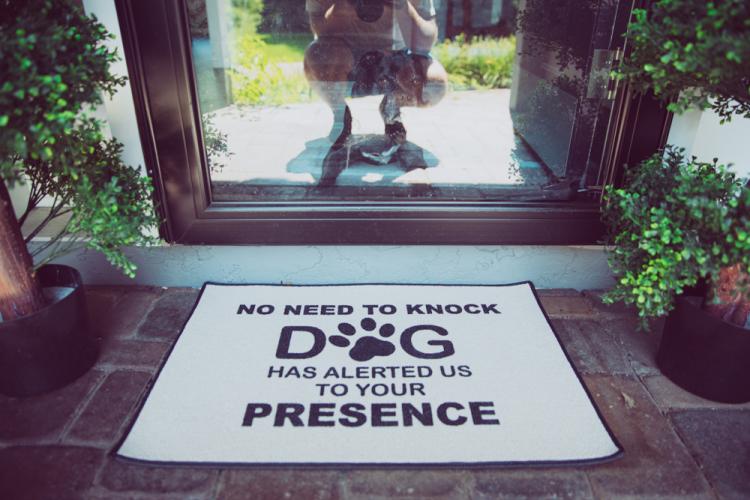 No Need To Knock, The Dogs Have Alerted Us To Your Presence Doormat - Funny Dog Owner Doormat