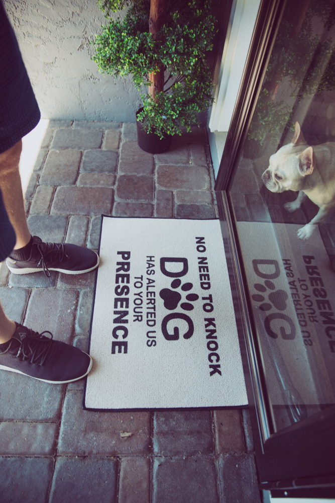 No Need To Knock, The Dogs Have Alerted Us To Your Presence Doormat - Funny Dog Owner Doormat