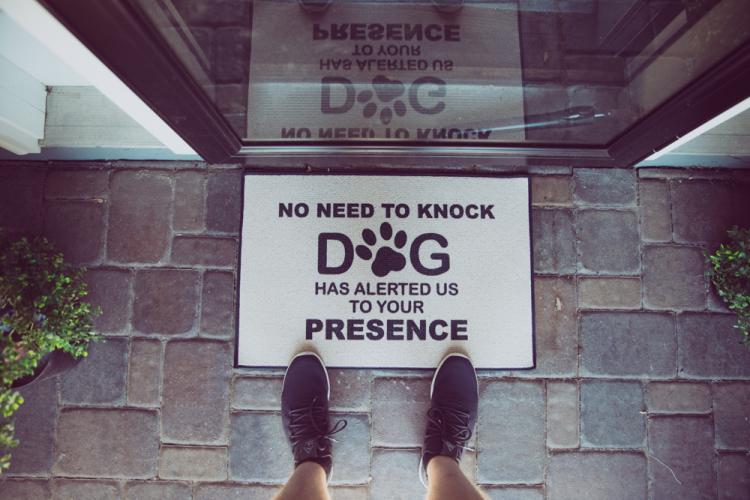 No Need To Knock, The Dogs Have Alerted Us To Your Presence Doormat - Funny Dog Owner Doormat