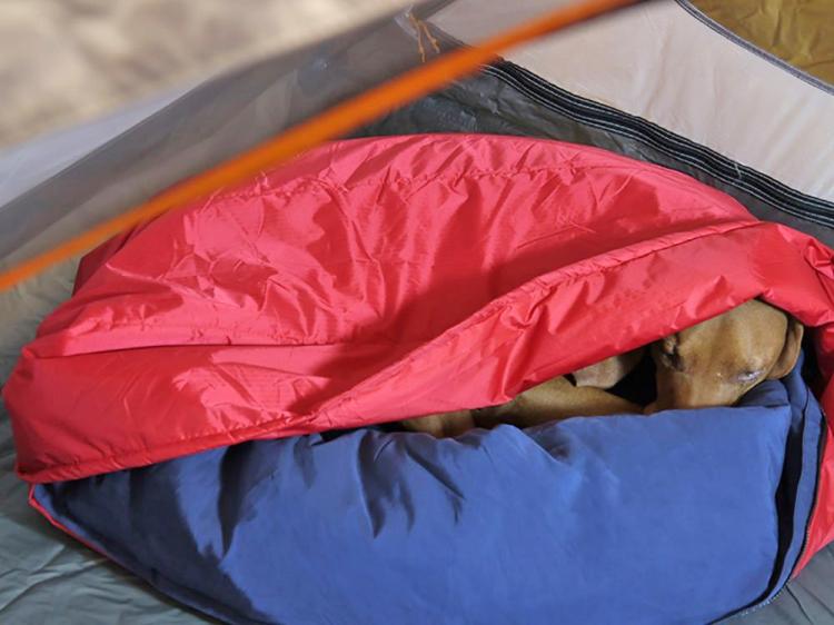 Noblecamper Dog Sleeping Bag and Bed