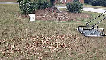 Nut Wizard Nut Collector Rolling Barrel - Sweet Gum Balls Collector