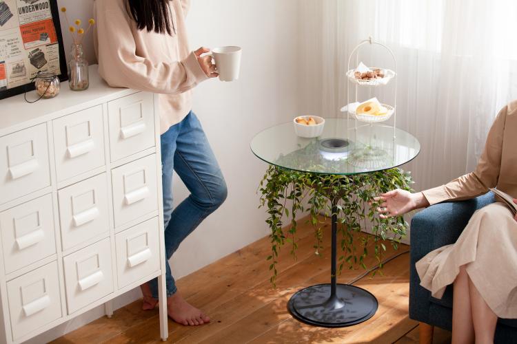 Oasis Table Displays A Hanging Plant Under A Glass Table-top - Hanging plant table - Nature table design