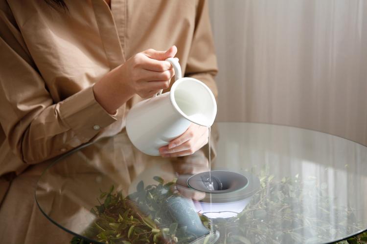 Oasis Table Displays A Hanging Plant Under A Glass Table-top - Hanging plant table - Nature table design