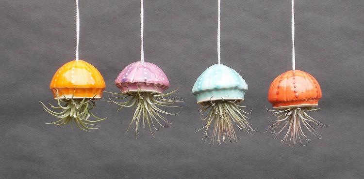 Hanging Jellyfish Plant Holders