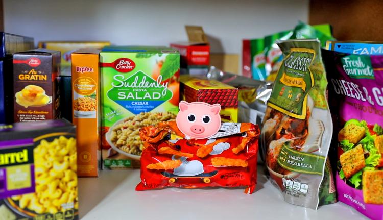 Pig Shaped Bag Clip Oinks When You Open It - Diet bag clip