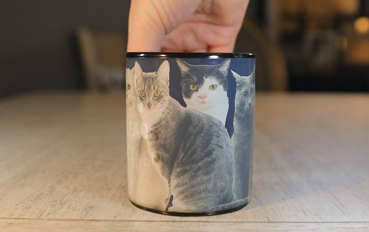 One Cat Leads To Another Heat Changing Mug - Cat Lady Mug - Funny Cat Owner Coffee Mug