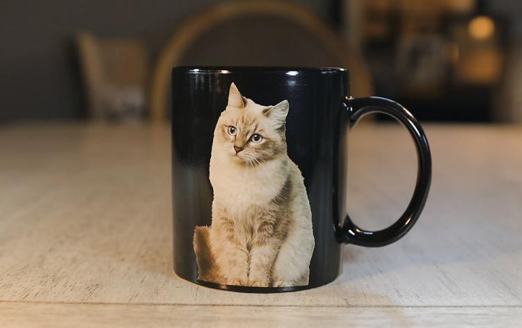One Cat Leads To Another Heat Changing Mug - Cat Lady Mug - Funny Cat Owner Coffee Mug