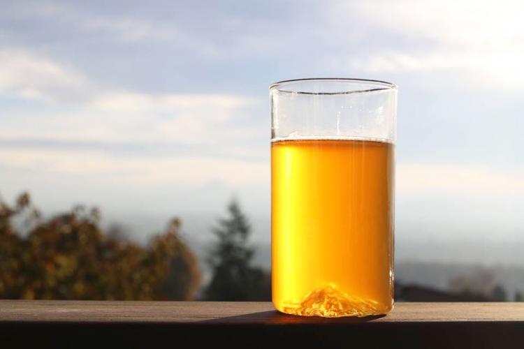 Oregon Pint Glass - Mt Hood - Mountain Beer Glass