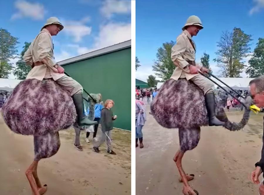 Ostrich Stilts Costume