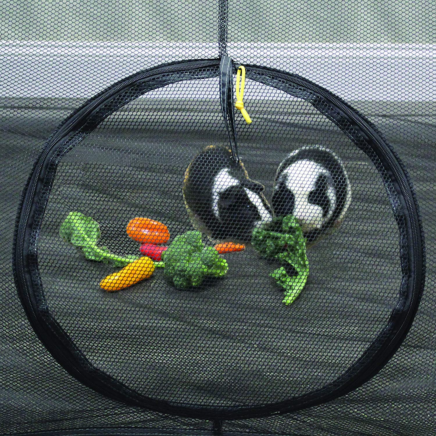 Outdoor Cat Tent With Tunnel